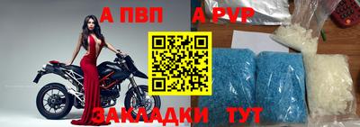 стаф Гатчина
