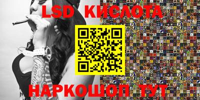 стаф Гатчина