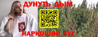 стаф Гатчина