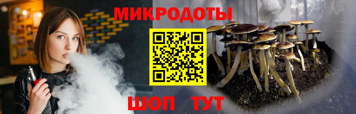 Галлюциногенные грибы Psilocybe  Вход с VPN  Муром 